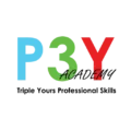 P3Y Academy Triple your success